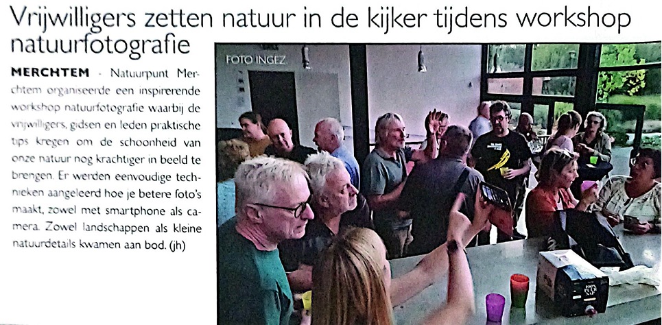 Schermershoek
